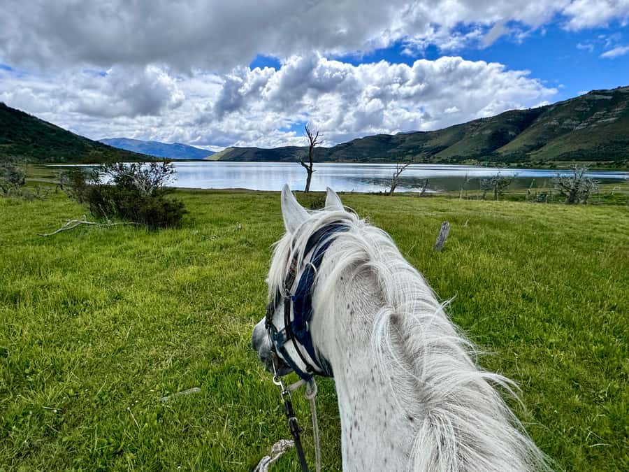 Puerto Natales: Horseback Riding with Horse Connection - Returning to the barn for tea and treats