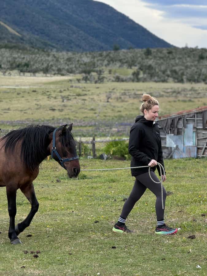 Puerto Natales: Horseback Riding with Horse Connection - How much value do you get for $150?