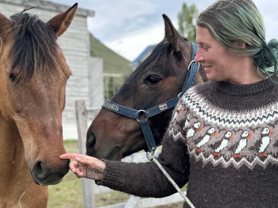 Puerto Natales: Horseback Riding with Horse Connection - Brushing, saddling, and learning to communicate