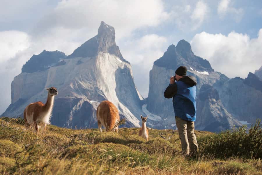 Puerto Natales: Private Full Day Torres + Milodon Cave - Why this private day works from Puerto Natales
