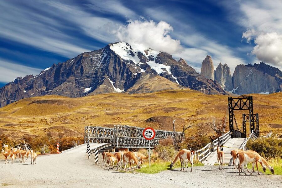 Puerto Natales: Tour Package (Full Day + Base Torres + Grey) - Day 2: the 19.5-kilometer climb to Base Torres