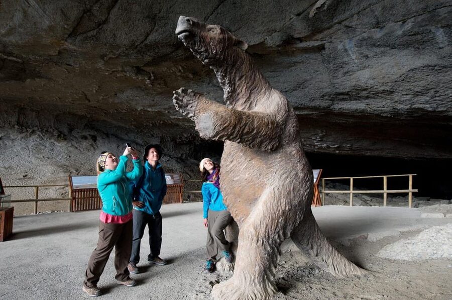 Puerto Natales: Tour Package (Full Day + Base Torres + Grey) - What the $523 price really covers