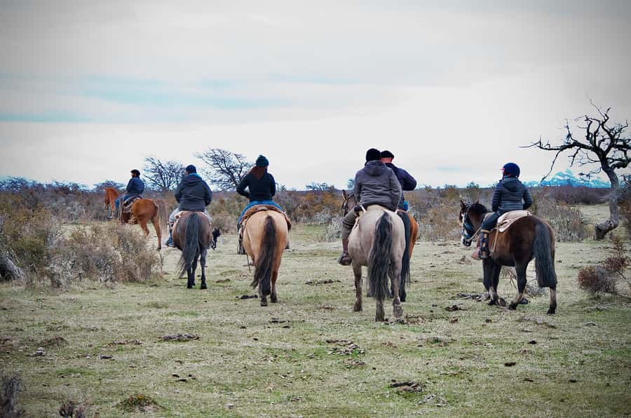 Puerto Natales: Traditional Horseback Riding Experience - Five useful things to know before you ride