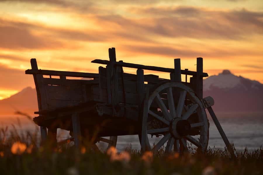 Puerto Natales: Traditional Horseback Riding Experience - What the estancia adds to the ride