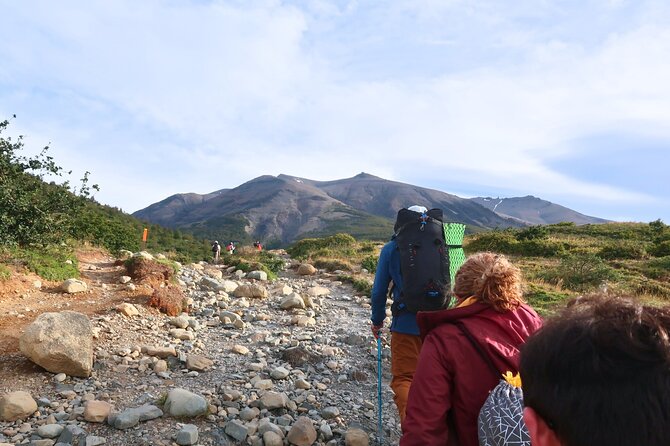 Puerto Natales Trekking Base Torres - Forests, waterfalls, and wildflowers on the climb