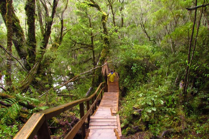 Puerto Varas: Full day Alerce Andino National Park. - Choosing between Laguna Zargazo and Rodal Alerce