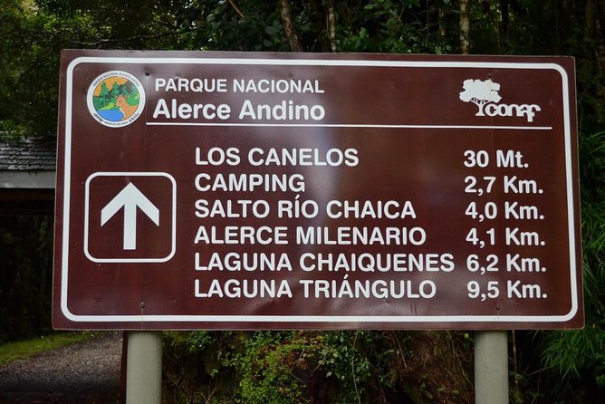 Puerto Varas: Full day Alerce Andino National Park. - Wildlife in a protected native forest