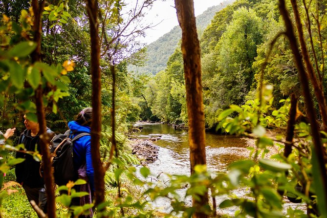 Puerto Varas: Full day Alerce Andino National Park. - Entering Alerce Andino National Park