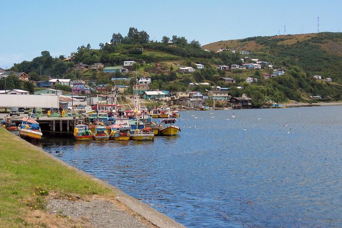 Puerto Varas; Full day, Chiloe island: Ancud, Caulin and Lacuy - Key points to know before booking