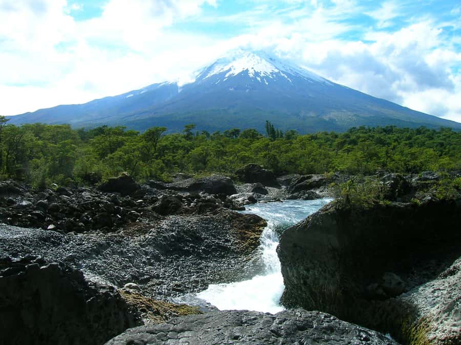 Puerto Varas: Osorno Volcano, Petrohue Falls Full-day Trip - Who will enjoy this excursion most?