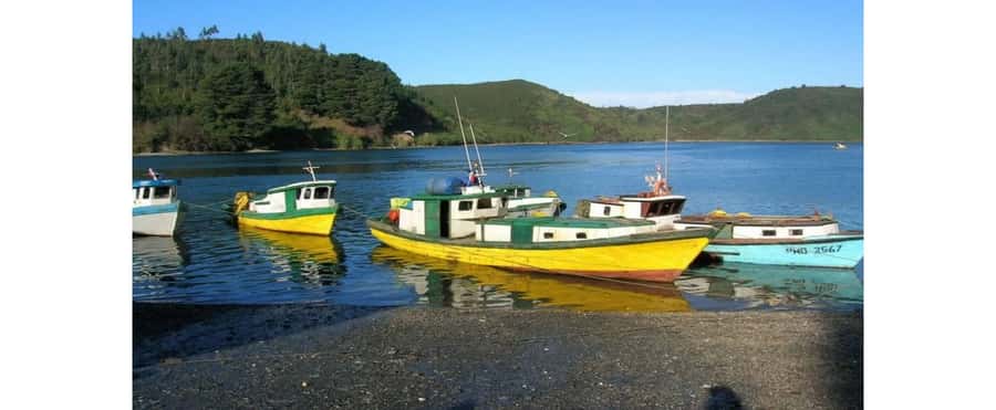 Puerto Varas: Puerto Montt & Puerto Varas Private City Tour - Starting high above Puerto Montt
