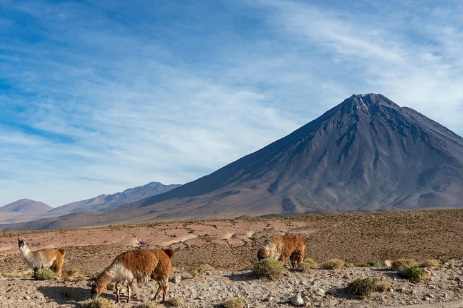 Puna Salt Flats - Full Day Tour - San Pedro de Atacama - Must Visit - Licancabur Volcano and a Story of Separated Lovers