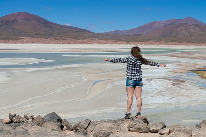 Puna Salt Flats - Full Day Tour - San Pedro de Atacama - Must Visit - Salar de Tara at 4,400 Meters