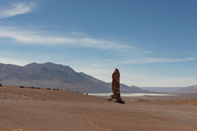 Puna Salt Flats - Full Day Tour - San Pedro de Atacama - Must Visit - Quepiaco Viewpoint: Water, Birds, and a Quiet Pause