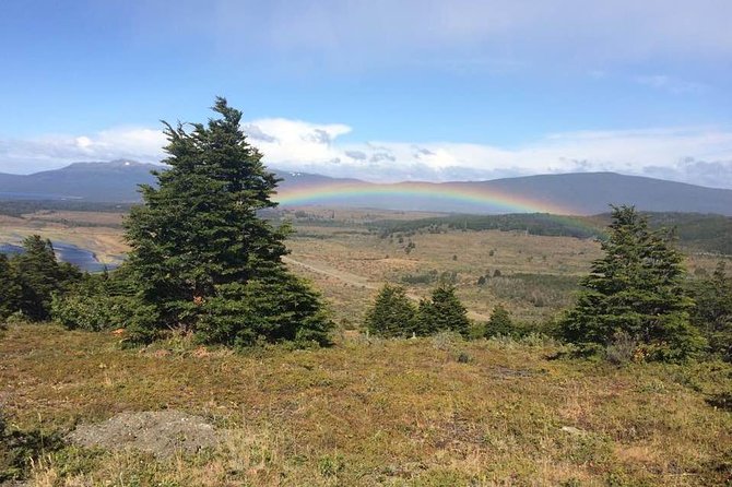 Punta Arenas and Magellan Strait Tour - Weather, clothing, and mobility