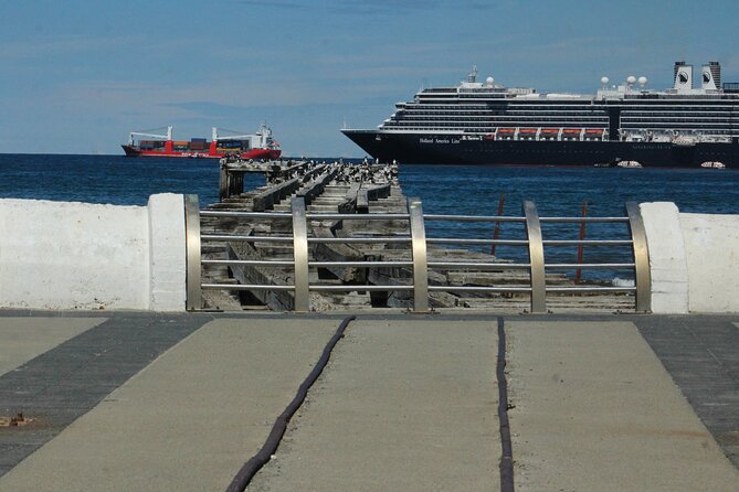 Punta Arenas Antarctic History Private City Tour - What the private format adds