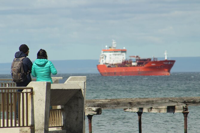 Punta Arenas Antarctic History Private City Tour - Is $350 per person a fair price?