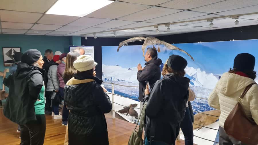 Punta Arenas: City Tour - What is included for $60
