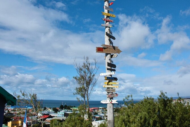 Punta Arenas City Tour Shore Excursion - What $60 really gets you