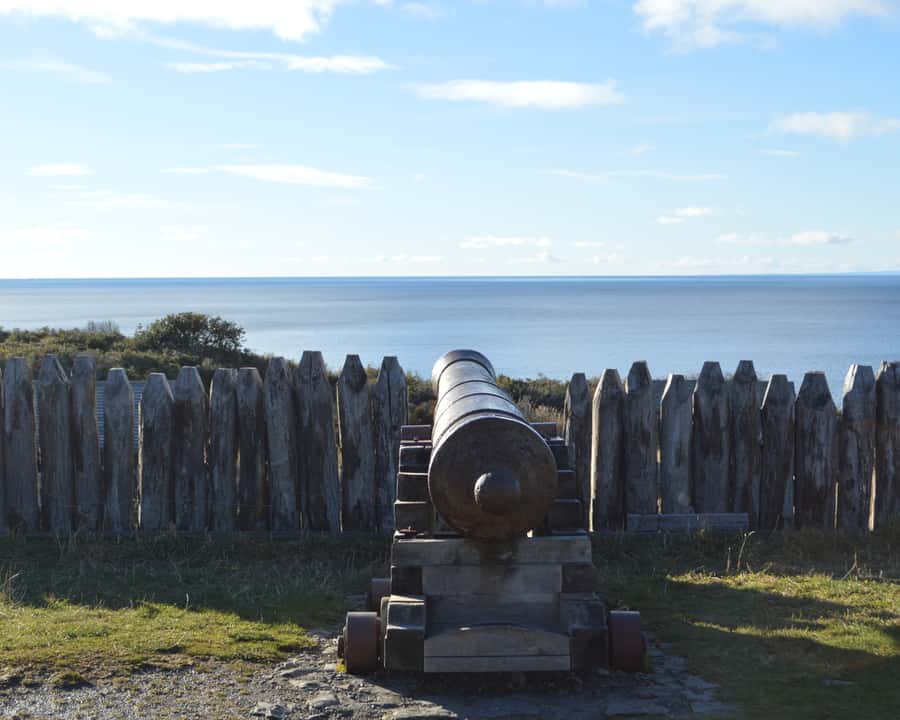 Punta Arenas: Fuerte Bulnes Shore Tour for Cruisers - Who will enjoy this half-day trip