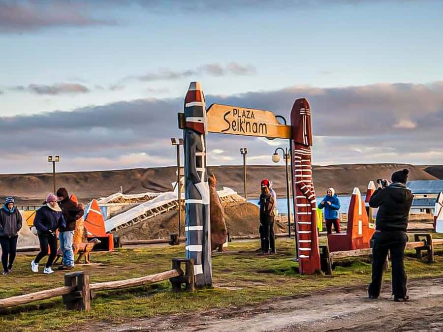 Punta Arenas: Full Day Tierra del Fuego & King Penguins - Why the King Penguin trip takes 15 hours