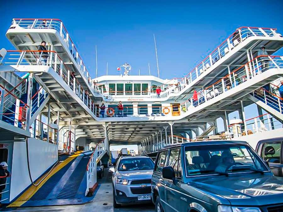 Punta Arenas: Full Day Tierra del Fuego & King Penguins - Guides, language, and day-to-day comfort