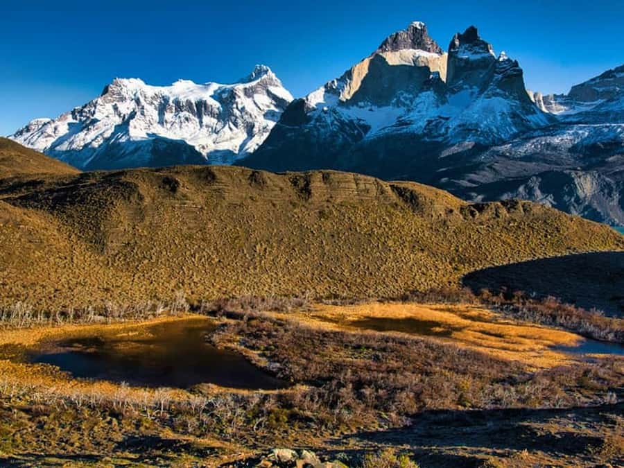 Punta Arenas: Full-Day Torres del Paine Tour - Why this Punta Arenas day trip is worth considering