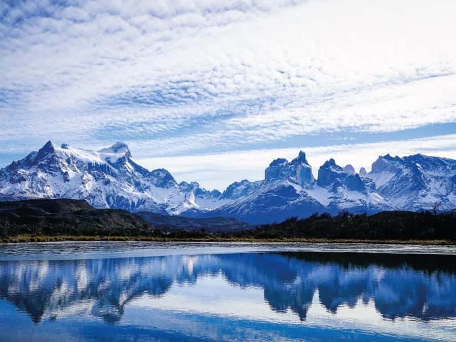 Punta Arenas: Full-Day Torres del Paine Tour - Grey Beach and icebergs by the water