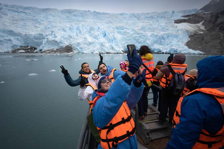 Punta Arenas: Full-Day Whales, Penguins, and Glaciers Tour - Why this Punta Arenas cruise is unusual