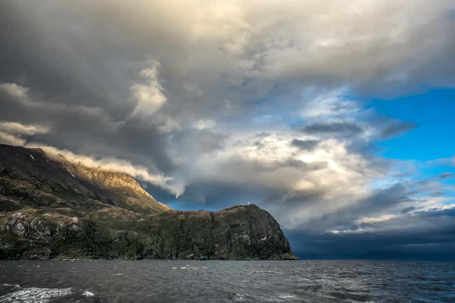 Punta Arenas: Full-Day Whales, Penguins, and Glaciers Tour - Whale watching at Francisco Coloane Marine Park