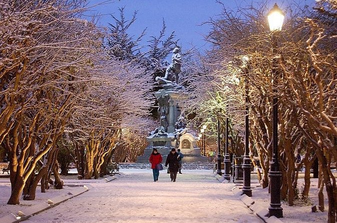 Punta Arenas: Half day traditional City Tour - Transport, timing, and group size