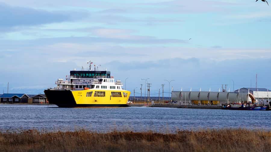 Punta Arenas: King Penguin Park and Tierra del Fuego Trip - A short stop in Tierra del Fuego Province
