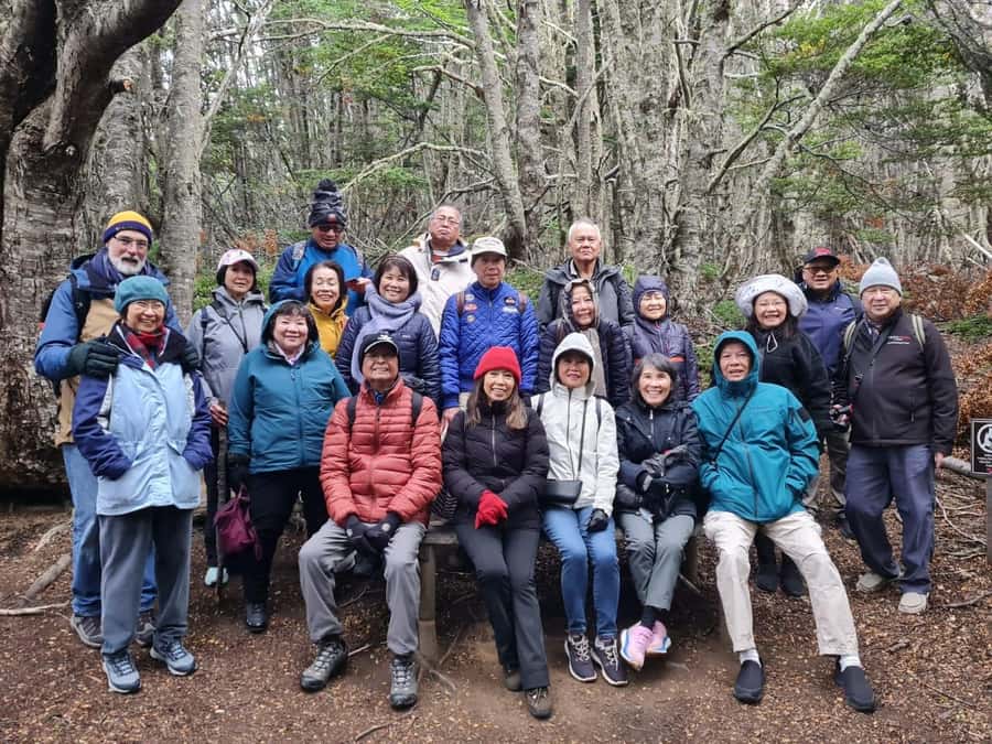 Punta Arenas: Magallanes National Reserve and City Tour - What $175 buys you