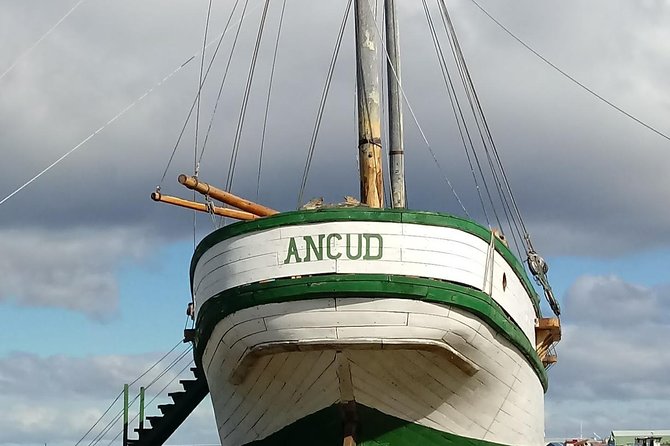 Punta Arenas & Strait of Magellan Park Value Excursion - Why this outing works for a first visit