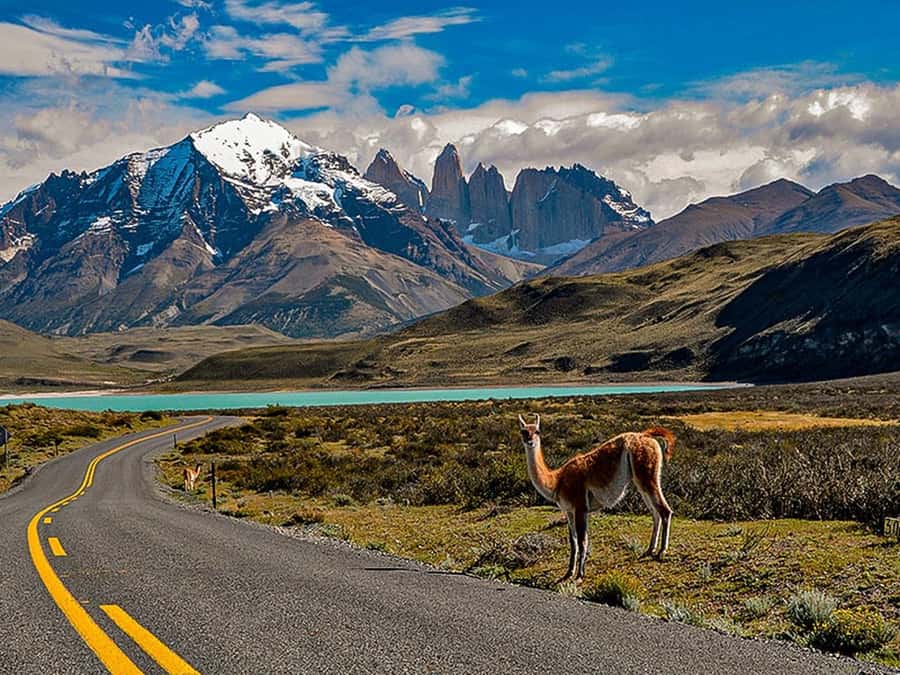 Punta Arenas: Torres del Paine & Grey Glacier Full-Day Boat - Key points at a glance