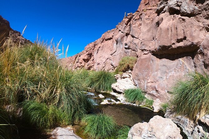 Purilibre Trekking: Disconnection and Nature - A quiet start near Puritama