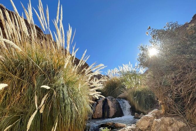 Purilibre Trekking: Disconnection and Nature - Purilibre water: refreshing, not a long thermal soak