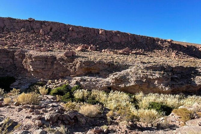Purilibre Trekking: Disconnection and Nature - The value of a $35 half-day outing