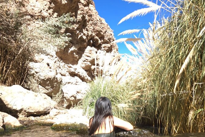 Purilibre Trekking: Disconnection and Nature - Returning to San Pedro without another transfer