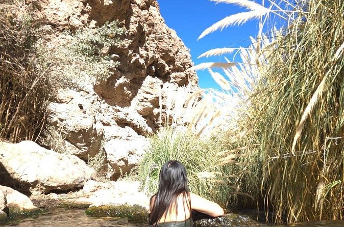 Purilibre Trekking: Disconnection and Nature - Who will enjoy this tour most