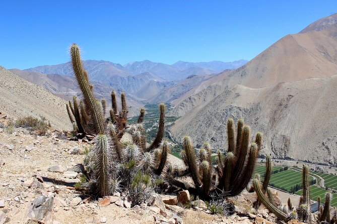 Puritama Canyon and Guatin Trekking - Who will enjoy this outing most