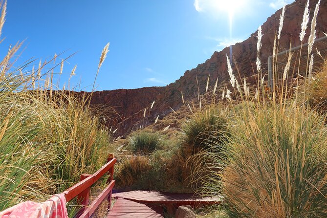 Puritama Hot Springs Experience with Transfer and Entrance - Timing, return arrangements, and group comfort