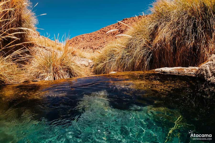 Puritama Hot Springs - Tour : San Pedro de Atacama - Chile - What the guide adds beyond a soak