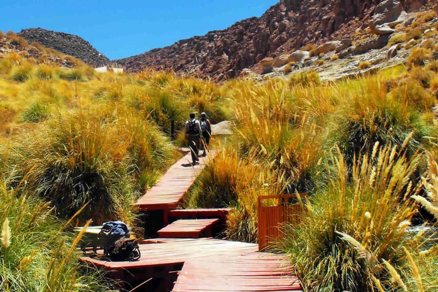 Puritama Hot Springs - Tour : San Pedro de Atacama - Chile - The ride from San Pedro to the springs