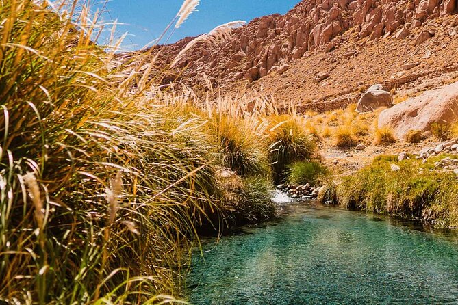 Puritama Hot Springs Tour with Tickets - Eight pools surrounded by fox-tail plants