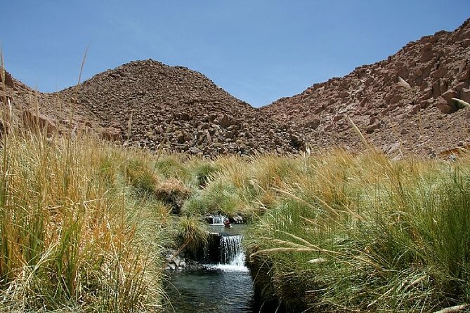 Puritama Hot Springs Tour with Tickets - Who should choose this outing?