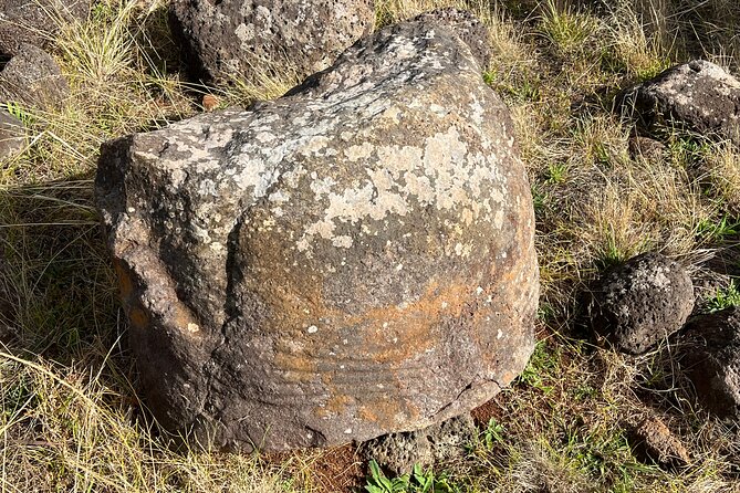 R3-THE RAPA NUI PENINSULA (non-cruise visitors) - Poike Volcano and the first walk to Vai To Heva