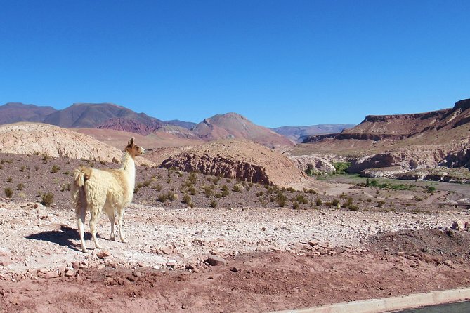 rainbow valley - Why Rainbow Valley deserves a place on your Atacama plan