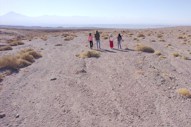 Rainbow Valley and Petroglyphs of Yerbas Buenas - Who should book this experience?