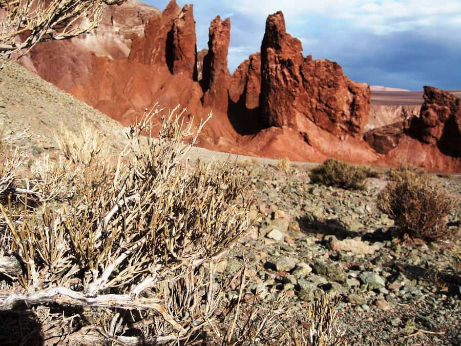Rainbow Valley from San Pedro de Atacama - Why Rainbow Valley makes a good half-day trip